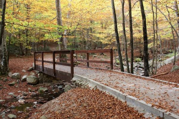 La Font del Frare, la excursión más corta del Montseny