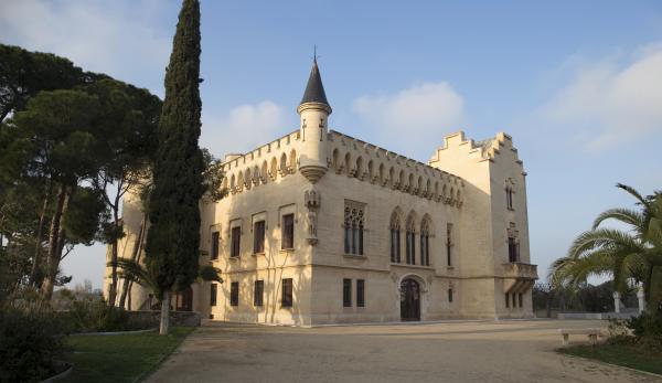 Castell de Vila-seca amb nens