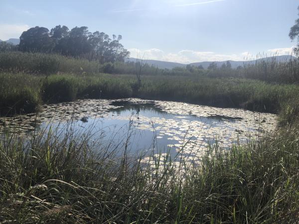 Els Ullals de Baltasar amb nens