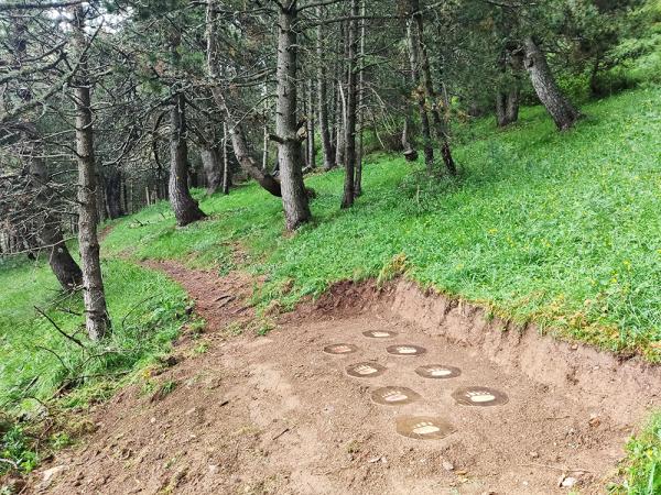 Una excursión con merendero y cerca de uno de los Tamarros de Andorra