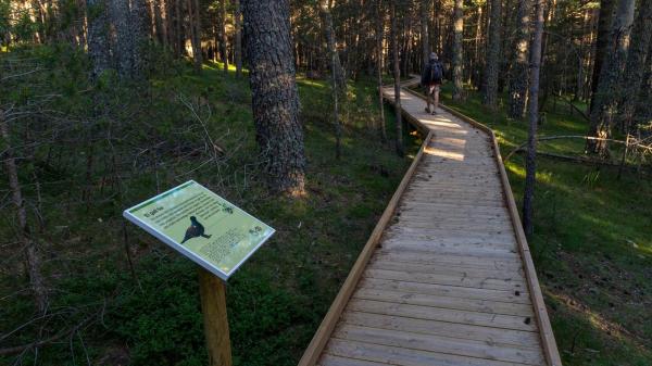 Ruta adaptada y señalizada por Sant Joan de l'Erm