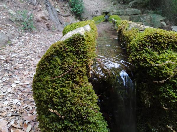 Excursió a la Font del Teix | Excursió a la Font del Teix de Paüls. Fotos: @rutes_montsia | Excursió a la Font del Teix de Paüls. Fotos: @rutes_montsia