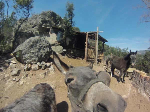 Visita guiada al Molí del Fort Con niños