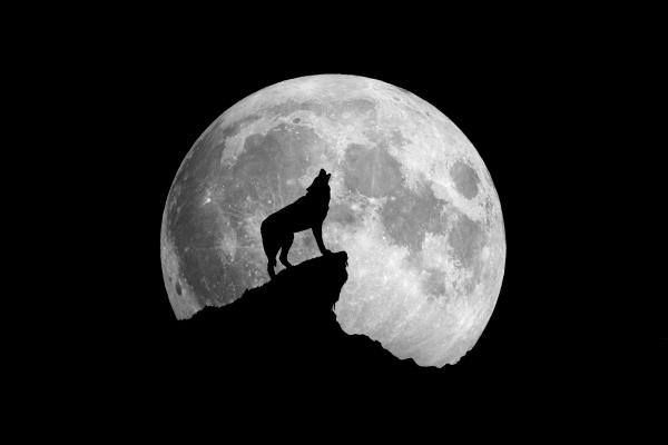 Pratdip llegendari, la llegenda del llop misteriós