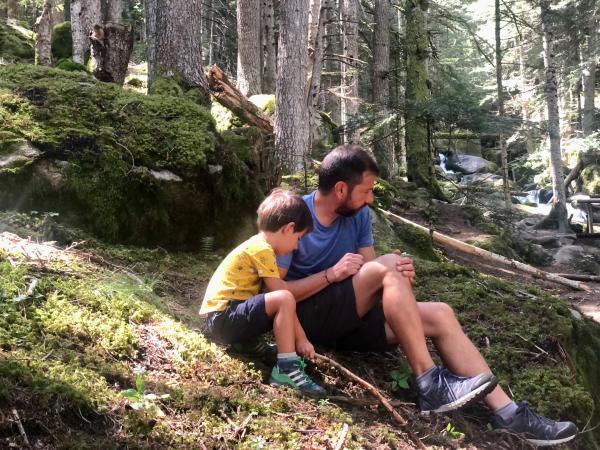 Un passeig pel Bosc de Gerdar, un dels boscos amb més avets d'Europa, a l'Alt d'Àneu