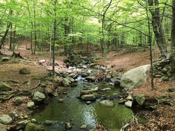 La Font del Frare, l'excursió més curta del Montseny