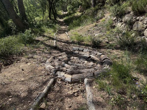 L'itinerari sensorial i el ratolí Fermí