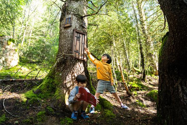 Excursions fàcils i espectaculars per fer amb nens a Andorra