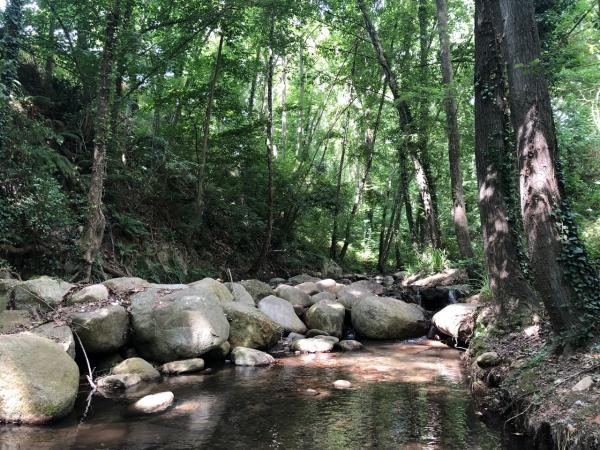 Riera d'Arbúcies amb nens