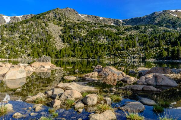 Estany de Malniu