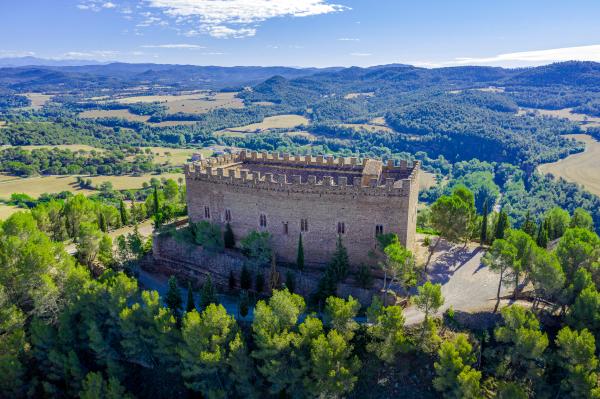 Castell de Balsareny amb nens