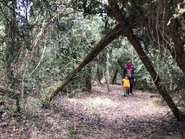 Ruta por la Necrópolis Neolítica del Llor, en el Solsonès