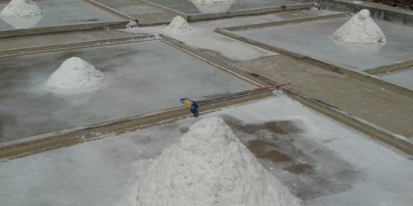 Visita guiada al Salí de Privà 2025