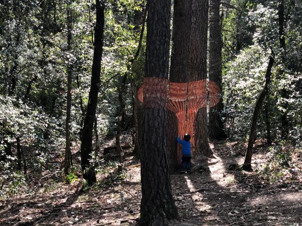 Bosc Pintat Con niños