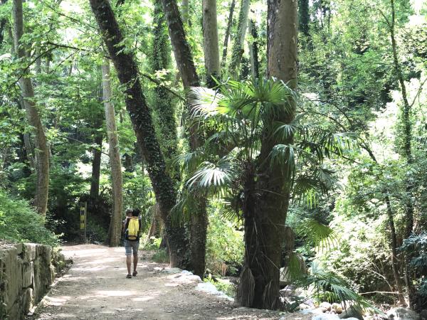 Itinerari de l'aigua i herbes remeieres