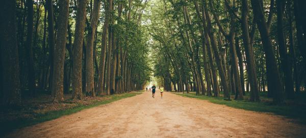 Parc de les Deveses amb nens