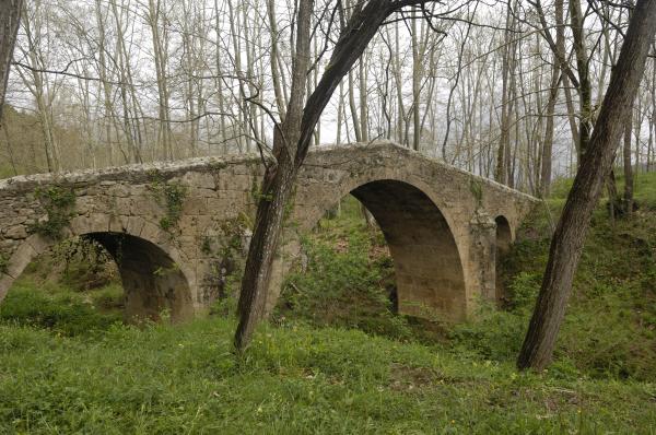 Sant Miquel de Campmajor