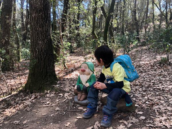 Bosc Màgic dels nans de 30 Passes