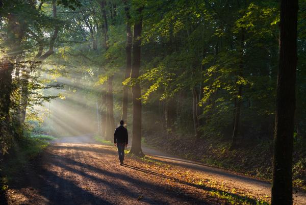 5 excursions al Montseny, fàcils i senyalitzades