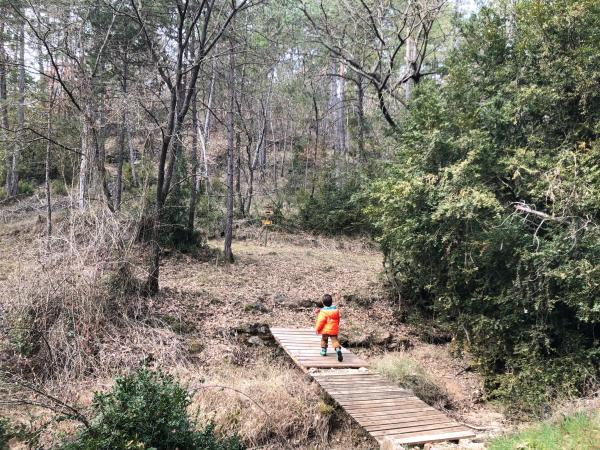 Ruta por la Necrópolis Neolítica del Llor, en el Solsonès