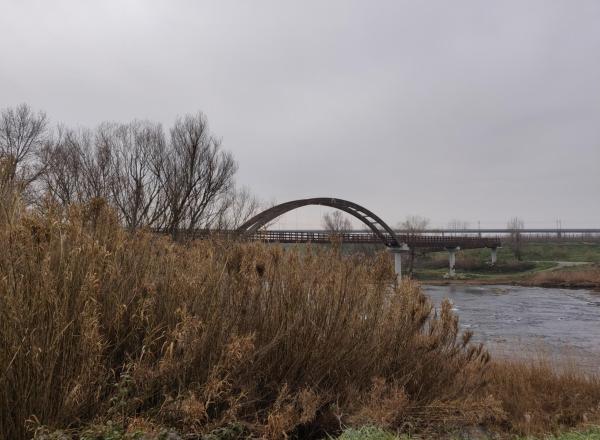 Ruta per la Copa d'Or des del Museu de l'aigua de Lleida amb nens