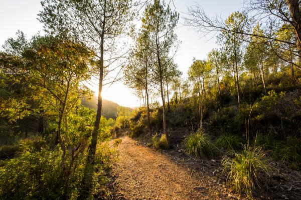 Ruta pel sistema solar al Parc del Garraf