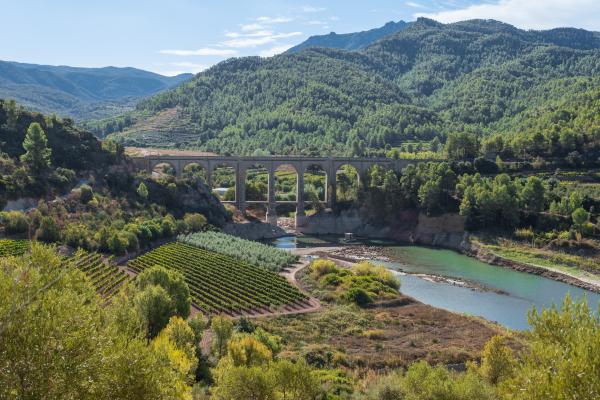 Embassament dels Guiamets amb nens