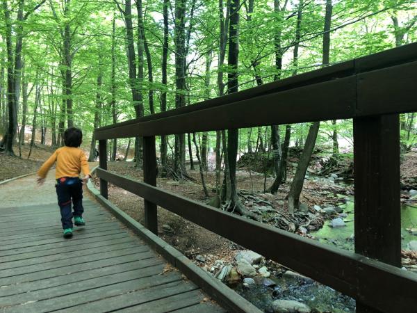 La Font del Frare, l'excursió més curta del Montseny