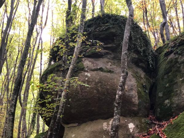 Las rocas encantadas en Sant Feliu de Pallerols