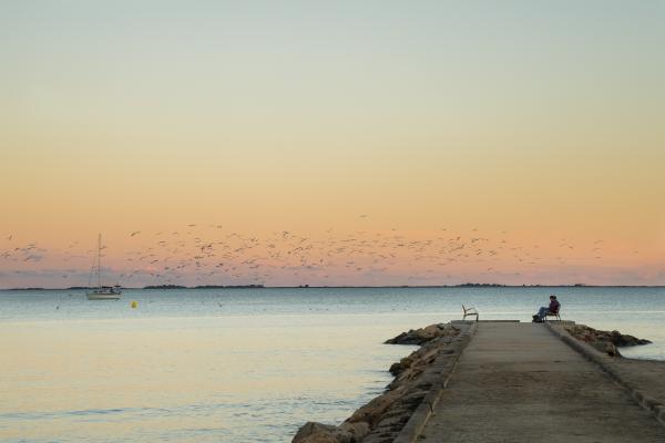 Paseo marítimo, puerto y lonja del pescado | Sant Carles de la Ràpita. Foto: SHUTTERSTOCK.COM