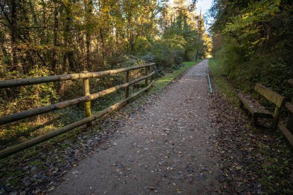 Ruta del Ferro i del Carbó