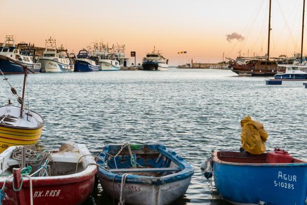 Feria Alternativa de la Ametlla de Mar, una feria con productos naturales y artesanales