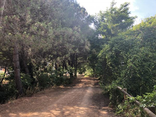 La Tordera i el Parc de les rieres