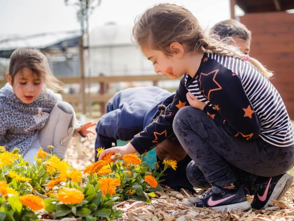 Granja-Espacio botánico Les Tanques, en Viladecans | LESTANQUES.COM | LESTANQUES.COM