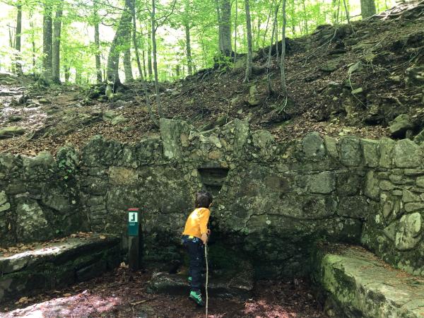 La Font del Frare, la excursión más corta del Montseny