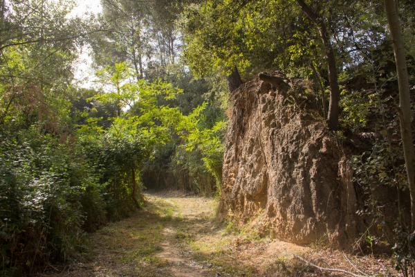 Camí del Llobregat des de Abrera