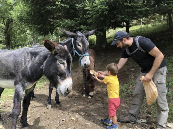 Aventuras con animales en Girona con niños
