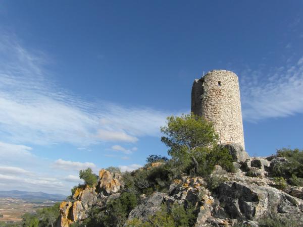 Torre Grossa o Torre del Moro amb nens