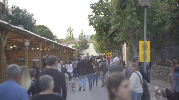 Feria del bosque de Sant Celoni 2025, programa y actividades