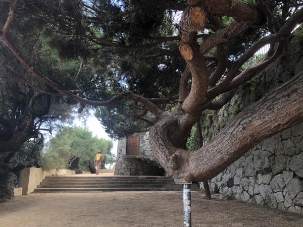 El camí de Ronda de S’Agaró, des de la Platja de Sant Pol a Cala Sa Conca