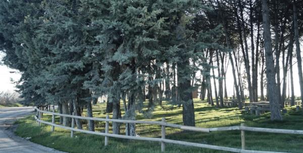 Ruta de la Pineda des de Bell-lloc d'Urgell Con niños