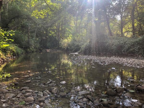 Área de pícnic de la Fuent de Querol