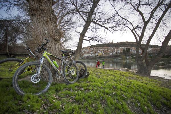 Ruta en bici por las islas de Ascó