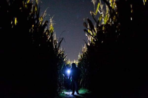 Crimen en el Laberinto de Horta de Lleida, Una propuesta terrorífica en la Granja Pifarré