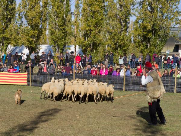 Feria de San Martirià de Banyoles