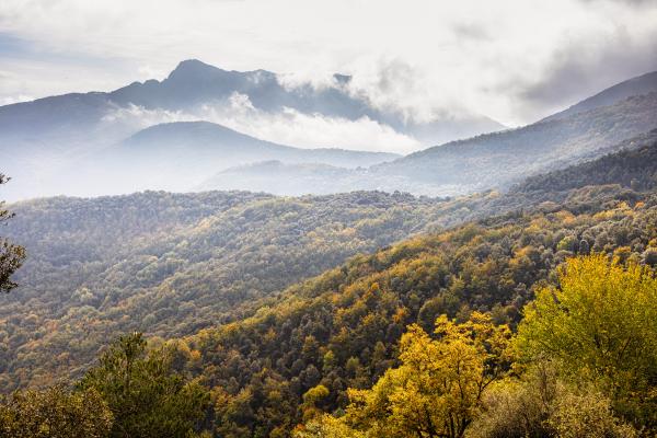 Espai Montseny Con niños