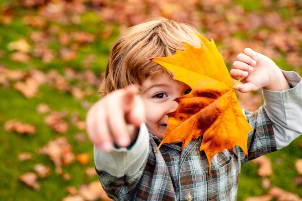 Actividades de otoño para hacer con niños durante el puente