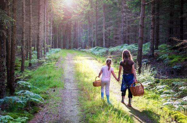 Una escapada para buscar setas