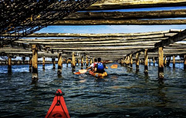 Kayak entre mejilloneras en la Badia del Fangar