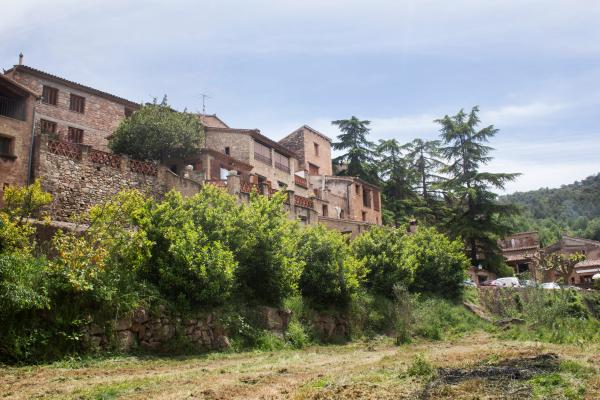 Castanyada a Mura